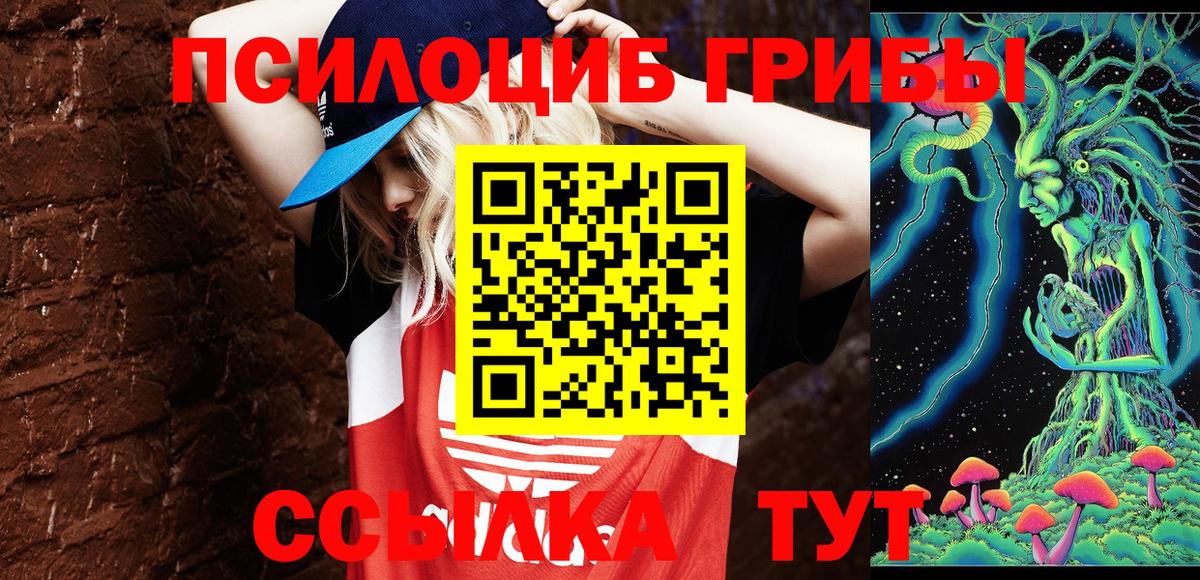 Звенигород  Галлюциногенные грибы MAGIC MUSHROOMS  Вход с VPN 