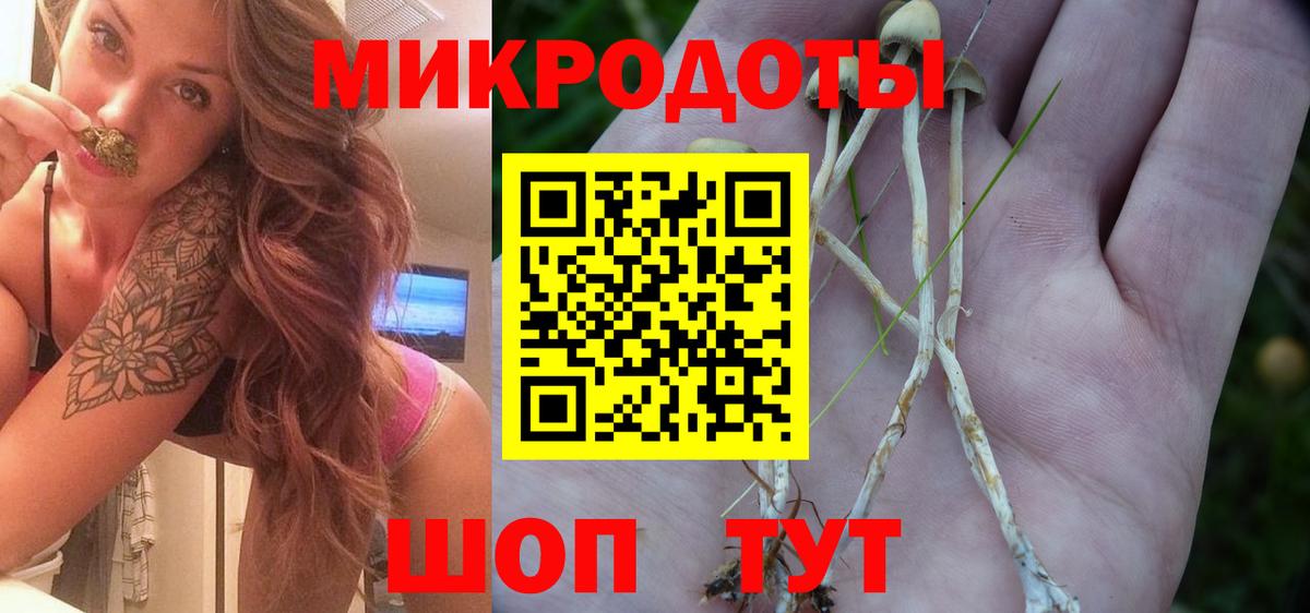Галлюциногенные грибы мицелий Звенигород